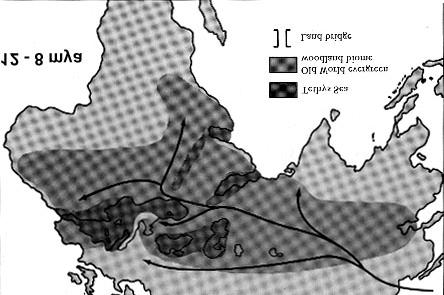Grass Warm/Wet Phase Modified from Conroy, 1990:193c) Forest Miocene Adaptations About 18 million years ago we begin to see the expansion of the hominoid apes Fossils occur in more open woodland and