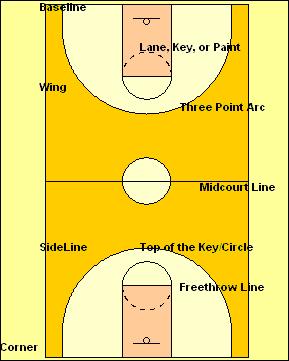 The court is divided into two main sections by the mid-court line (10 second line).