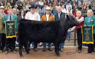 progeny sales records for McCumber Angus Ranch with 22 Sons selling for an average of $8,466 in their 2012 McCumber Angus Ranch Bull Sale Full brother to $75,000 2010 Angus Foundation Heifer Dam was