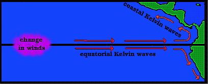 Mixed Rossby Waves Equatorial Kelvin Waves A Kelvin Wave is any wave in the ocean or atmosphere that balances the Coriolis Force with a topographic boundary.