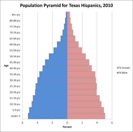 Texas Population Pyramids by Race/Ethnicity, 2010 Median age Source: Derived from U.