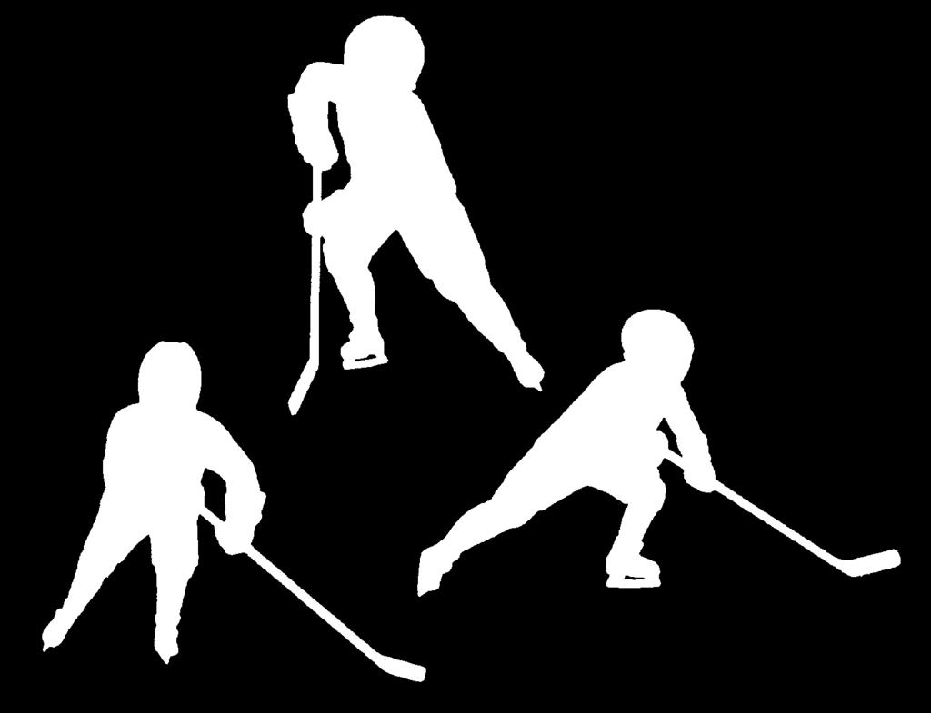LESSON PLAN C-3 Push and Glide (refine) Players pair off. (Players of same size if possible). 1. Partners face each other. 2. Skater pushing places hands on partner s hips. 3.