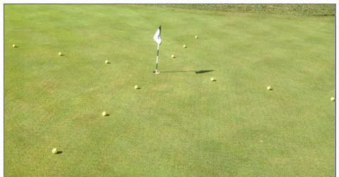 PUTTING T DRILL Place golf balls in a criss cross pattern or a T around the green.
