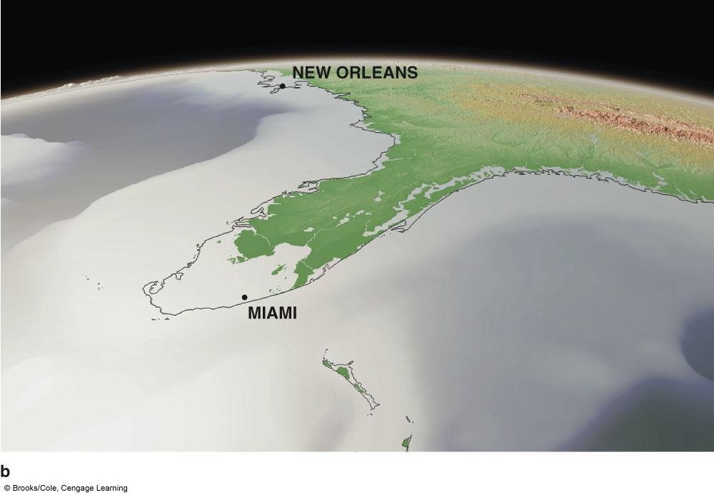 Florida coast after global