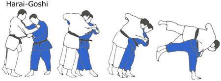 Harai Goshi Hip Sweep The image above shows an alternate hold, gripping the lapel rather than around the back of the neck.