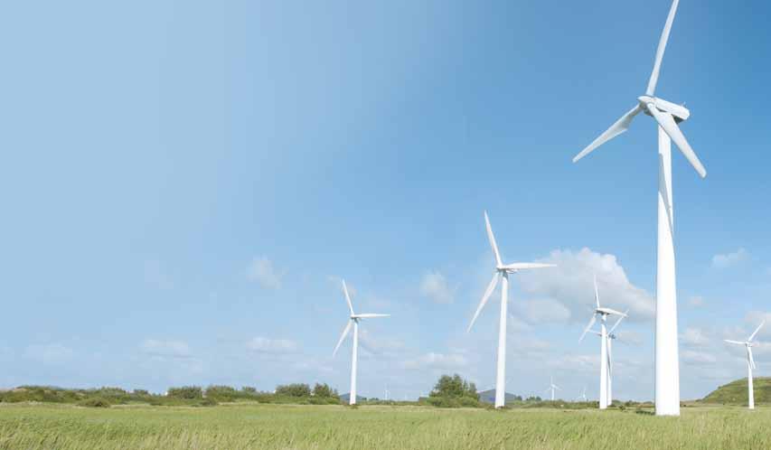 GLOBAL WIND ENERGY HARNESSES Our wind industry harnesses meet global compliance standards: ANSI, OSHA, CSA and