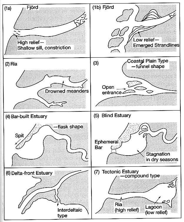 Principal types of estuaries
