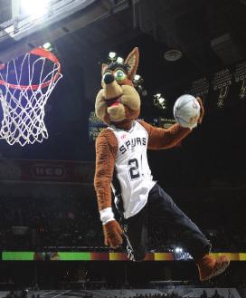 SPURS MAScOT THE COYOTE SPECIES: ENTERTAINUS CARNIVOROUS NUMBER: 2!