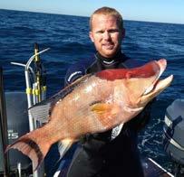 fish/person per day Recreational fishing season Open year round Open May-October Closed January-April; November-December The most recent stock assessment for hogfish identified two separate stocks in