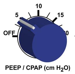 circuit pressure Flow (V INSP )