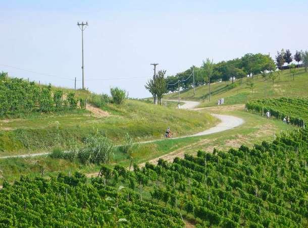 Italy -Piedmont Road Bike Tour 2018 Individual Self-Guided 8 days / 7 nights This is the land of the champion Fausto Coppi, il Campionissimo, who trained his legs in these hills.