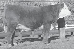02 $23 Trim made and attractive, grandam is mother of Lot 3.