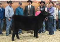 3040 is a full sib to DPL Sandy 3105, who was the Reserve Grand Champion Owned Heifer at the 2015 National Junior Angus Show and is the dam of Dal Porto Noble T154 the Division winner at the 2017