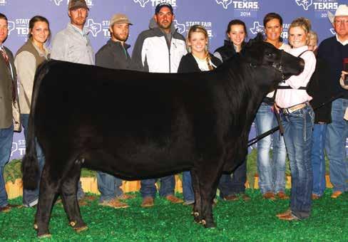 EMBRYOS SHULTZ LOOKOUT 414 35A Dam of Lots 28A, 28B, and Lot 29 Donor SHULTZ RANCH The dam of Lots 28A and 28B and the dam of the flush donor for Lot 29, SHULTZ LOOKOUT 414 35A, was shown