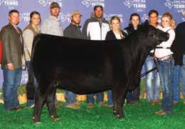 RIGHT TO FLUSH The young donor dam of this lot will be in Denver after making a name for herself in the Bred and Owned Division across the country being named a class winner at the 2017 NJAS Bred and