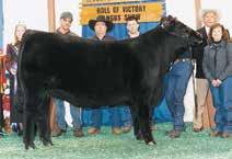 49 This exciting son of First Reaction comes to Denver riding the wave of being named Supreme Champion at the 2017 NILE after winning Champion Bull in the ROV Angus show at the NILE.