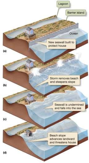 Seawalls Destructive to environment Designed to armor coastline and protect human developments One large storm