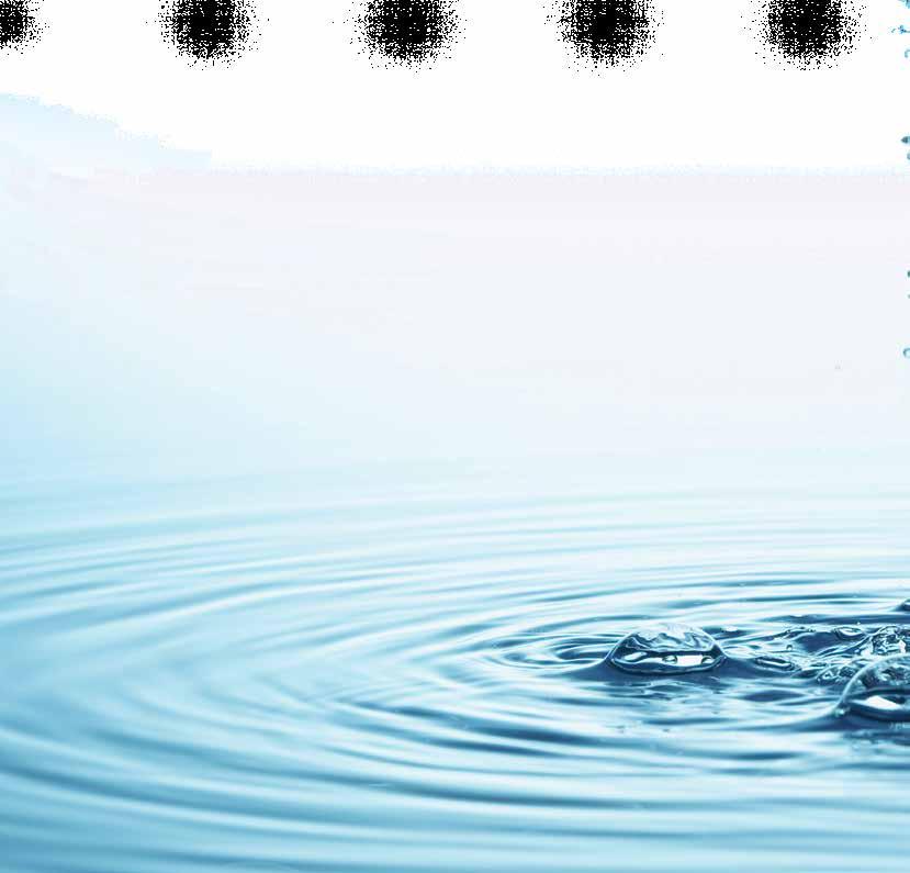 INTRODUCTION Water Maintenance Made Easy You don t need to be an expert to look after the water in your spa, you just need to know what to do and when to do it.