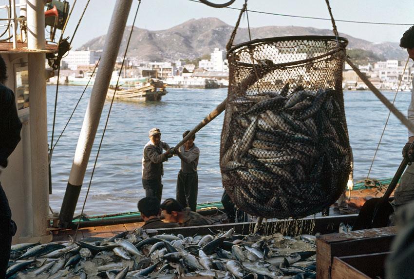 CONCLUSIONS 1. Much is still uncertain about the extent, location, and organisation behind IUU fishing; 2.