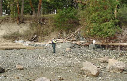 Orcas Island North Pole Pass northern property Remove rockery and nourish the upper beach with mix of sediment defined by