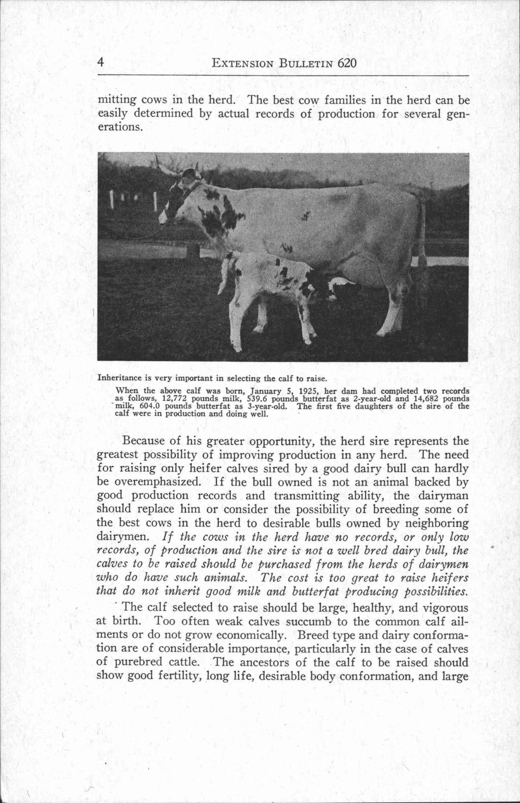 4 EXTENSION BULLETIN 620 mitting cows in the herd. The best cow families in the herd can be easily determined by actual records of production for several generations.