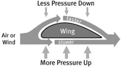 Bernoulli s Principle: As the velocity of the fluid increases, the pressure within the fluid decreases.