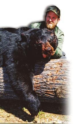 We cover a very large territory with our bear hunt and we keep the number of hunters down in order to keep our killing ratio and average size very high.