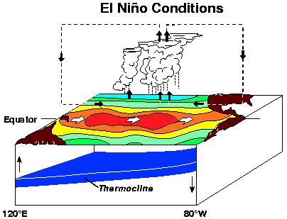 Every few years- an El Nino or warm event : Central equatorial Pacific ocean warms Storms and low surface pressure move to central and east Pacific (the Southern Oscillation).