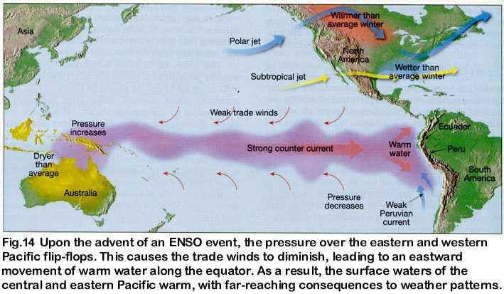 Effects of El Niño: marked by abnormal weather patterns that drastically affect the economies of Ecuador and Peru abnormally strong winds, originating from the west push masses of warm surface water