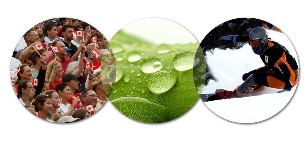 Overview What does sustainability mean? What does sustainable sport event mean?