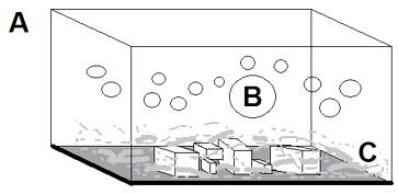 11-A. Aquarium Magic A = least dense (air) B = medium density (bubbles -- more dense than air & less dense than carbon dioxide) C = most