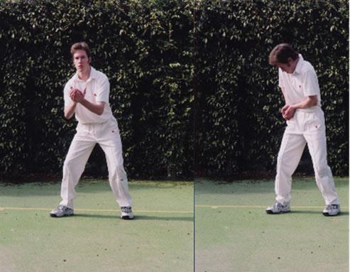 FIELDING BASICS - STATIONARY CATCH 1. Comfortable, relaxed, low stance. 2.