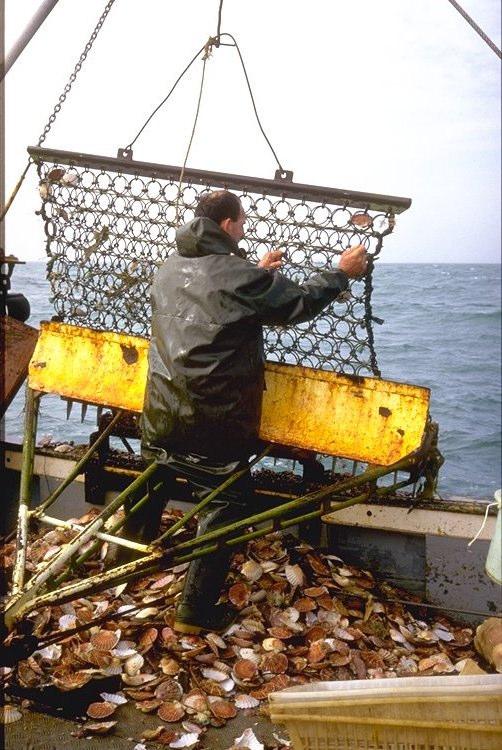 fisheries in Brittany.