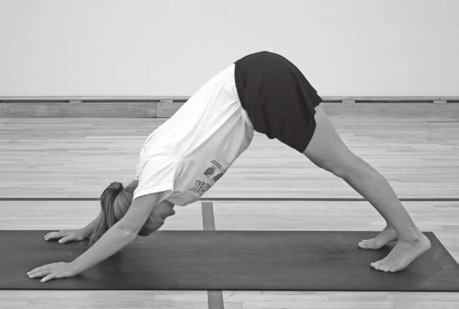 Sun Salutation Pose #8 Downward Dog From Table Top, curl toes onto mat. Push back with hands and raise hips into air.