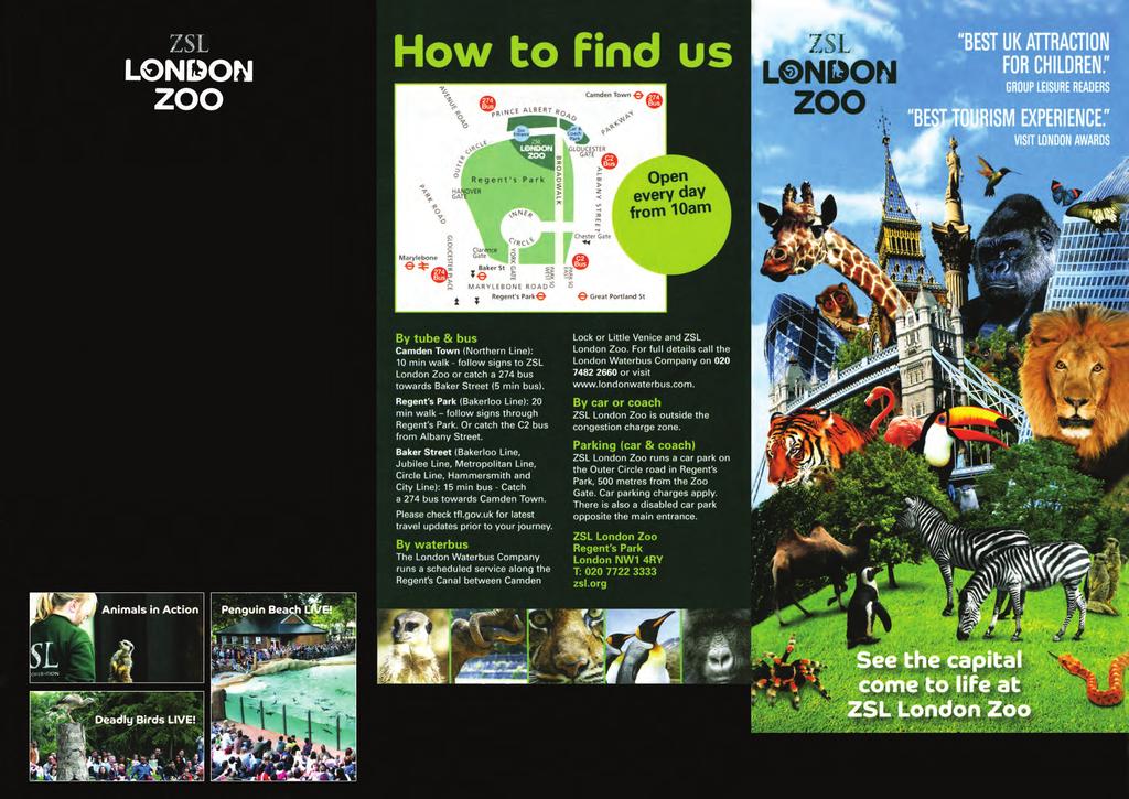 Explore London s real urban jungle NEW FOR 2013 Tigers are taking over the capital! Travel deep into the Indonesian jungle at ZSL London Zoo.