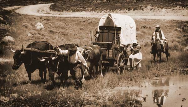 Prairie Schooner A lightweight covered wagon.