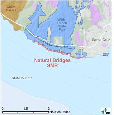 org Located at the northern edge of the City of Santa Cruz, Natural Bridges is an accessible and popular area where visitors and scientists alike can explore extensive and biologically