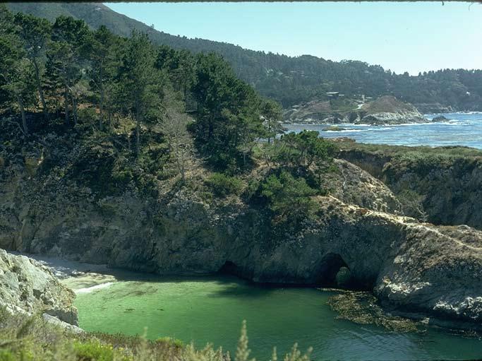 Point Lobos State Marine Reserve and Marine Conservation Area 7 Size of MPA(s): 14.
