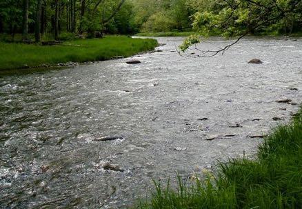 A Trout Fly Fishing Primer Part 1 - Fishing a Fly for Trout Reading the Water to Find Trout: Trout have four needs: Stay safe from predators A comfortable place to rest Easy access to food