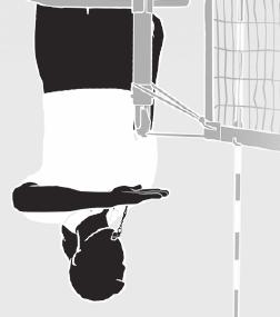 OVER-THE-NET FAULT Pass forearm, palm down, over the net, originating from the side of the net where the fault occurred.