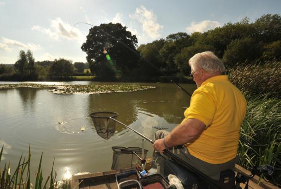 Old Bury Hill Lake was created in Victorian times and is a traditional mixed fishery with a large head of carp, tench, bream, roach, perch, rudd, crucian carp, pike and zander.