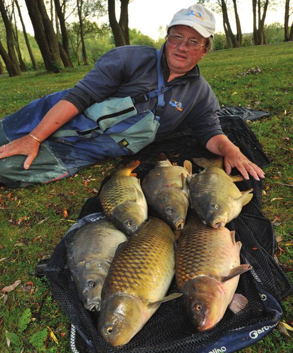 The lake holds 700 double-figure carp, a big head of twenties and around a dozen thirties, and at the start of the predator season on October 1st, pike and zander anglers enjoy hectic sport, with