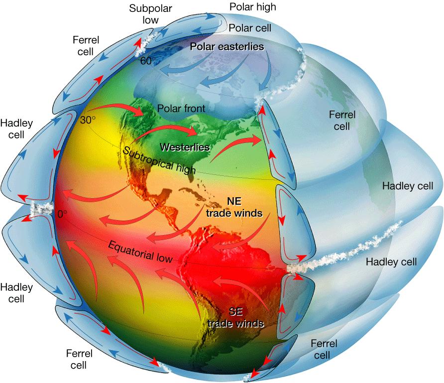 Rotating Earth Model If the effect of rotation were added to the global circulation model, the two-cell convection system would break down into smaller cells.