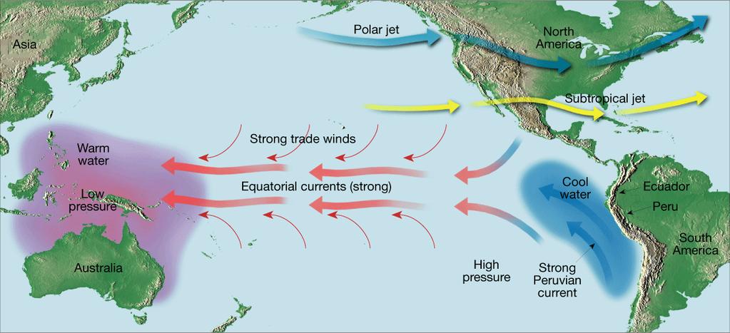 Normal Conditions El Niño Conditions La Niña Researchers have come to recognize that when