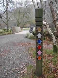 Walking Trails of Glendalough There are nine way-marked walking trails in the valley of Glendalough.