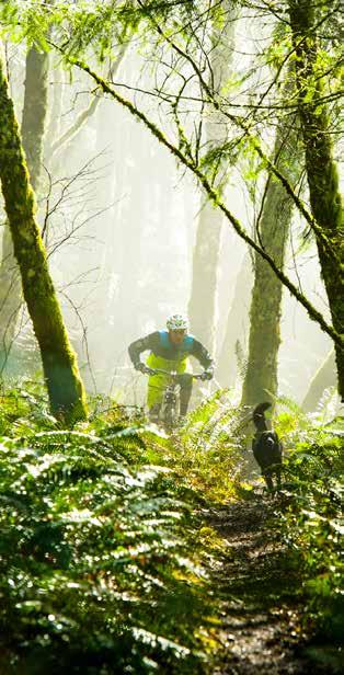 ABOUT EVERGREEN The Evergreen Mountain Bike Alliance (Evergreen) was founded in 1989 as a