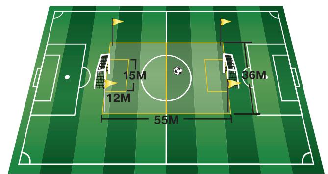3 Law 1: The Field of Play Field Markings The field of play must be rectangular and marked with lines or flat field markers. The lines or markers belong to the areas of which they are boundaries.