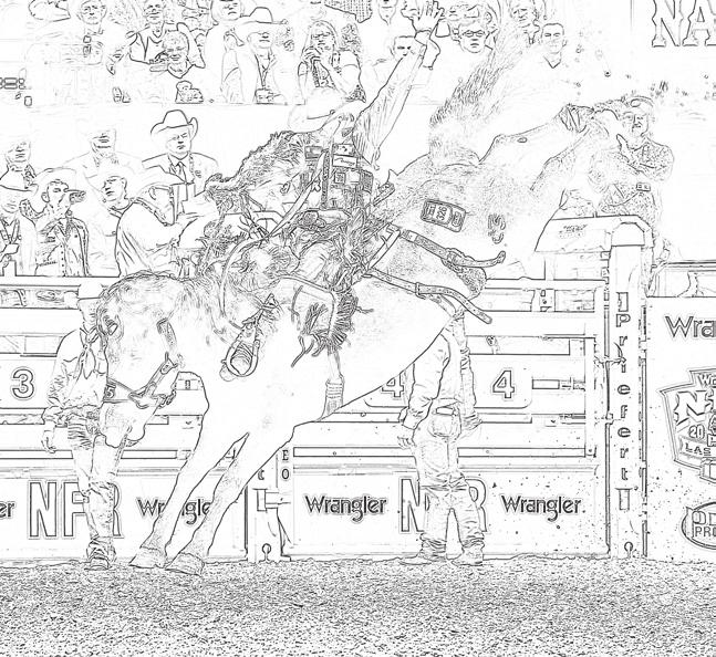 Each rider must begin his ride with his feet over the bronc s shoulders to give the horse the advantage.