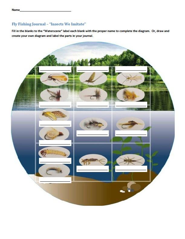Name Fly Fishing Journal - Insects We Imitate Using the Waterscene CasTarget Translator, label each blank with the name of the