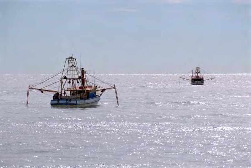 Typical situations so far as possible Some vessels engaged in fishing may be unable to manœuvre as required by the Rules